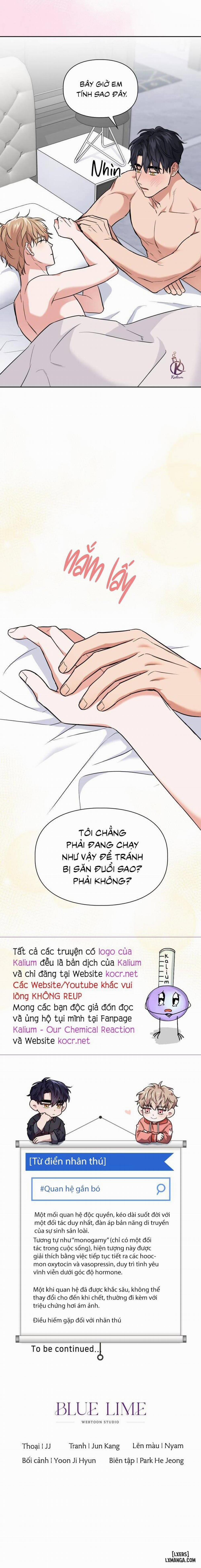 Mồi nhử Chương 78 Trang 17